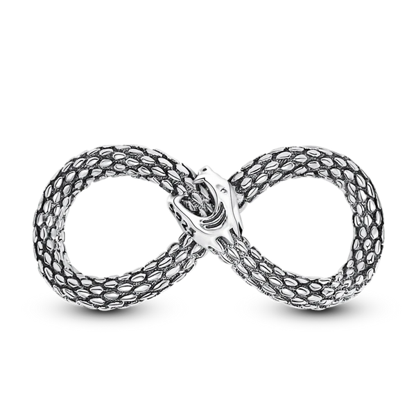 Charm Serpiente Infinita